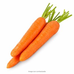 Carrots