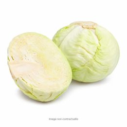 White Cabbage