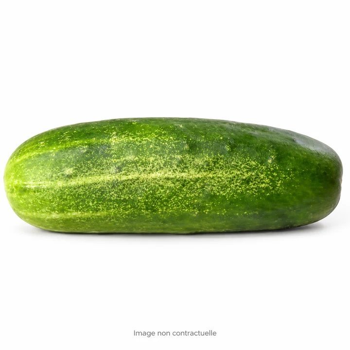 Concombre