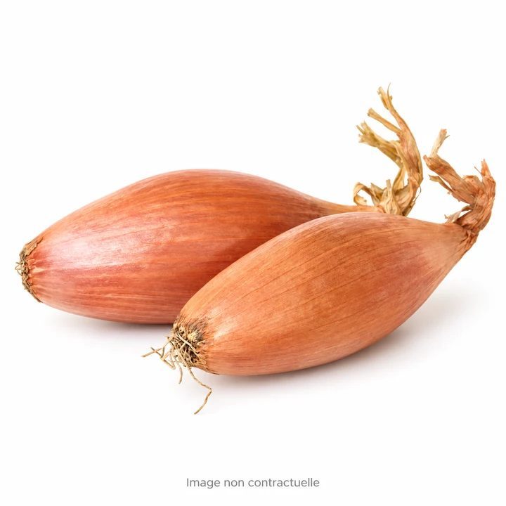 Echalote