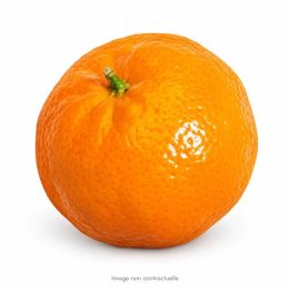 Mandarine