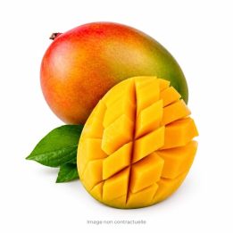 Mangue