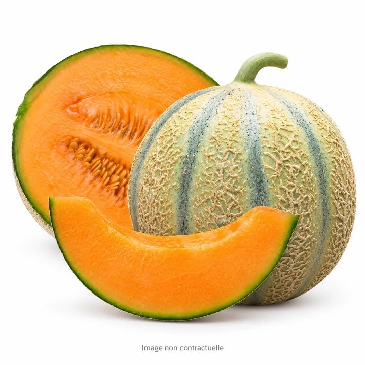 Melon