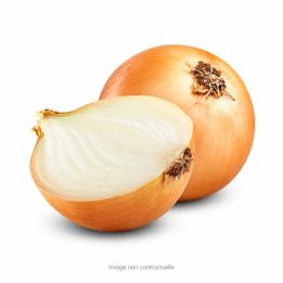 Yellow Onion
