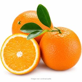 Orange Importation
