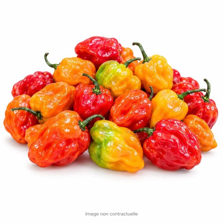 Piment Fort