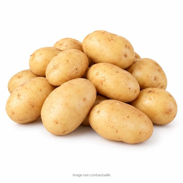 Potato
