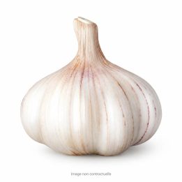 Garlic