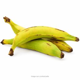 Plantain